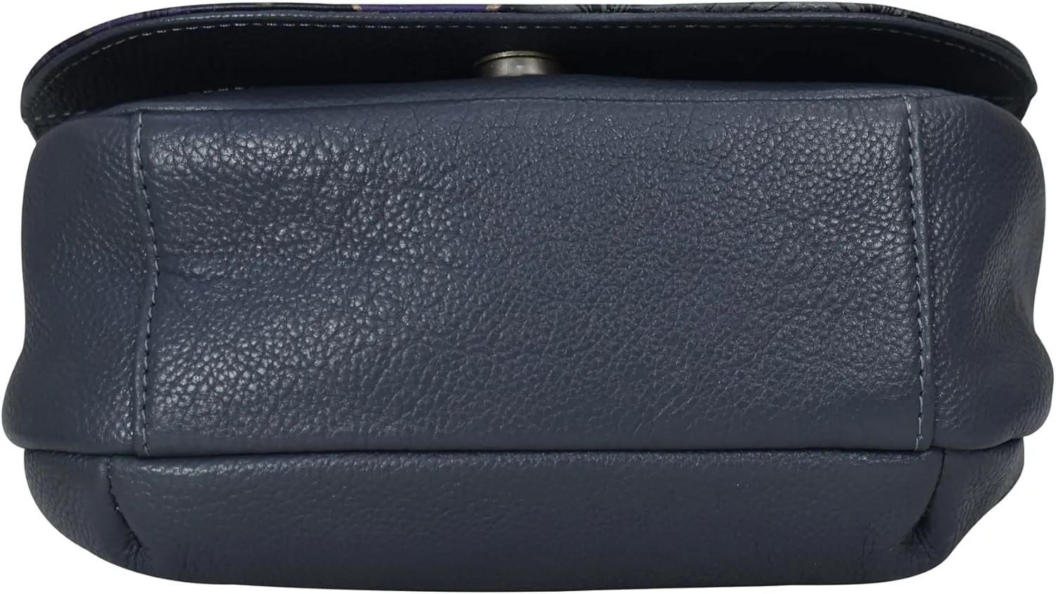 Anna by Anuschka Women's Hand-Painted Leather Crossbody Saddle Bag