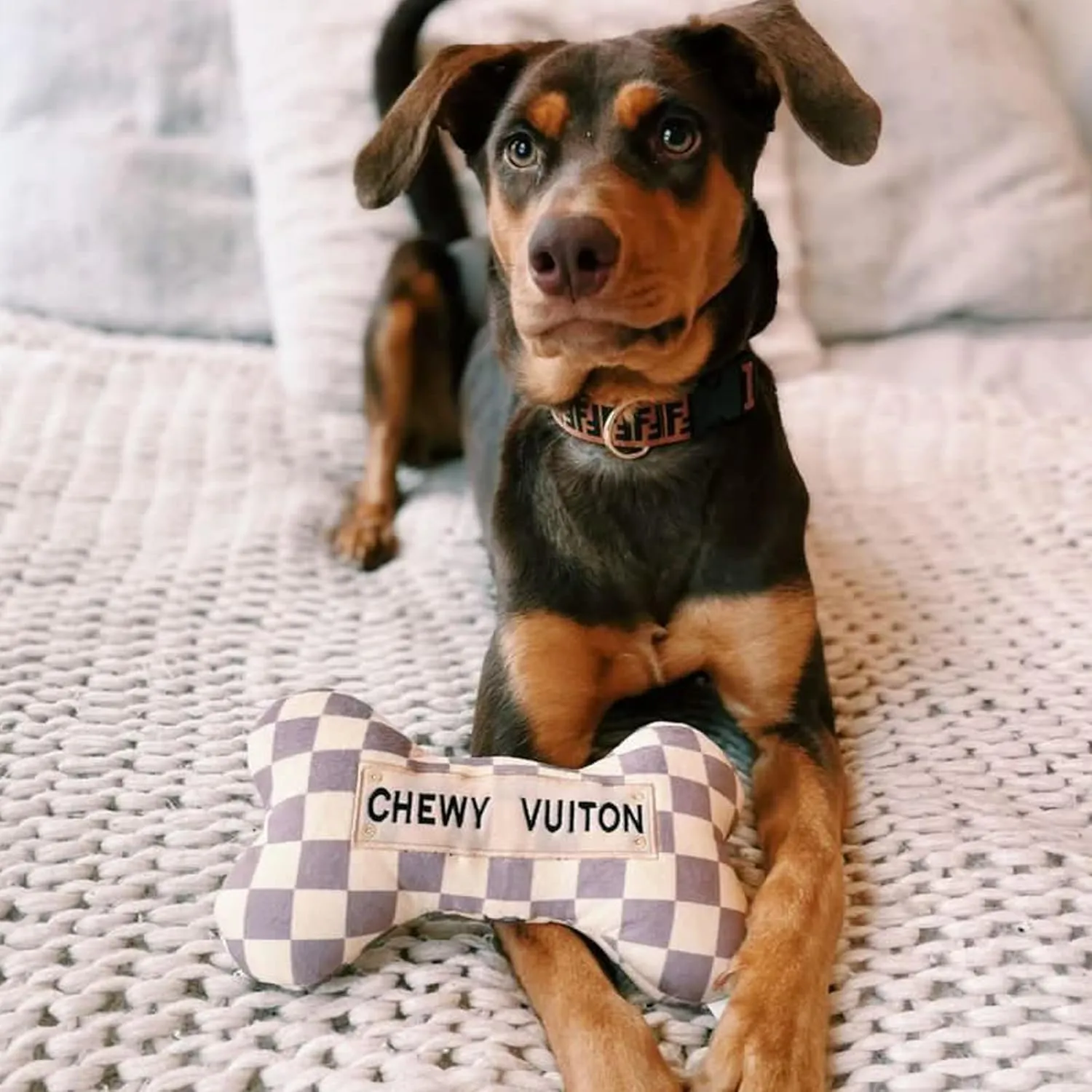 Haute Diggity Dog Checker Chewy Vuiton Bone, Plush Designer Dog Toys with Interactive Squeaker, Stimulating Pet Enrichment, Machine-Washable & Safe Materials for All Breeds, Size Large