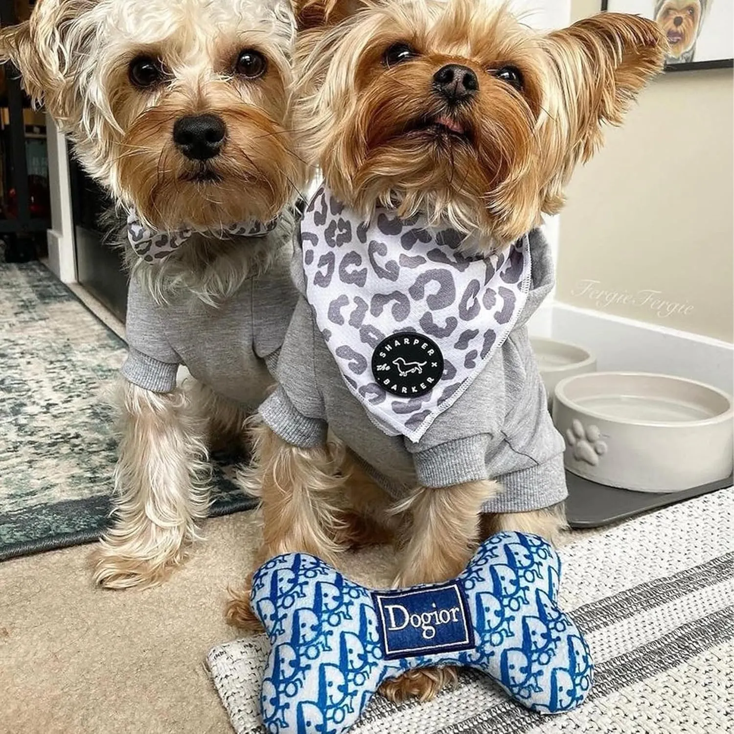 Haute Diggity Dog Dogior Bone, Plush Designer Dog Toys with Interactive Squeaker, Stimulating Pet Enrichment, Machine-Washable & Safe Materials for All Breeds, Size Medium