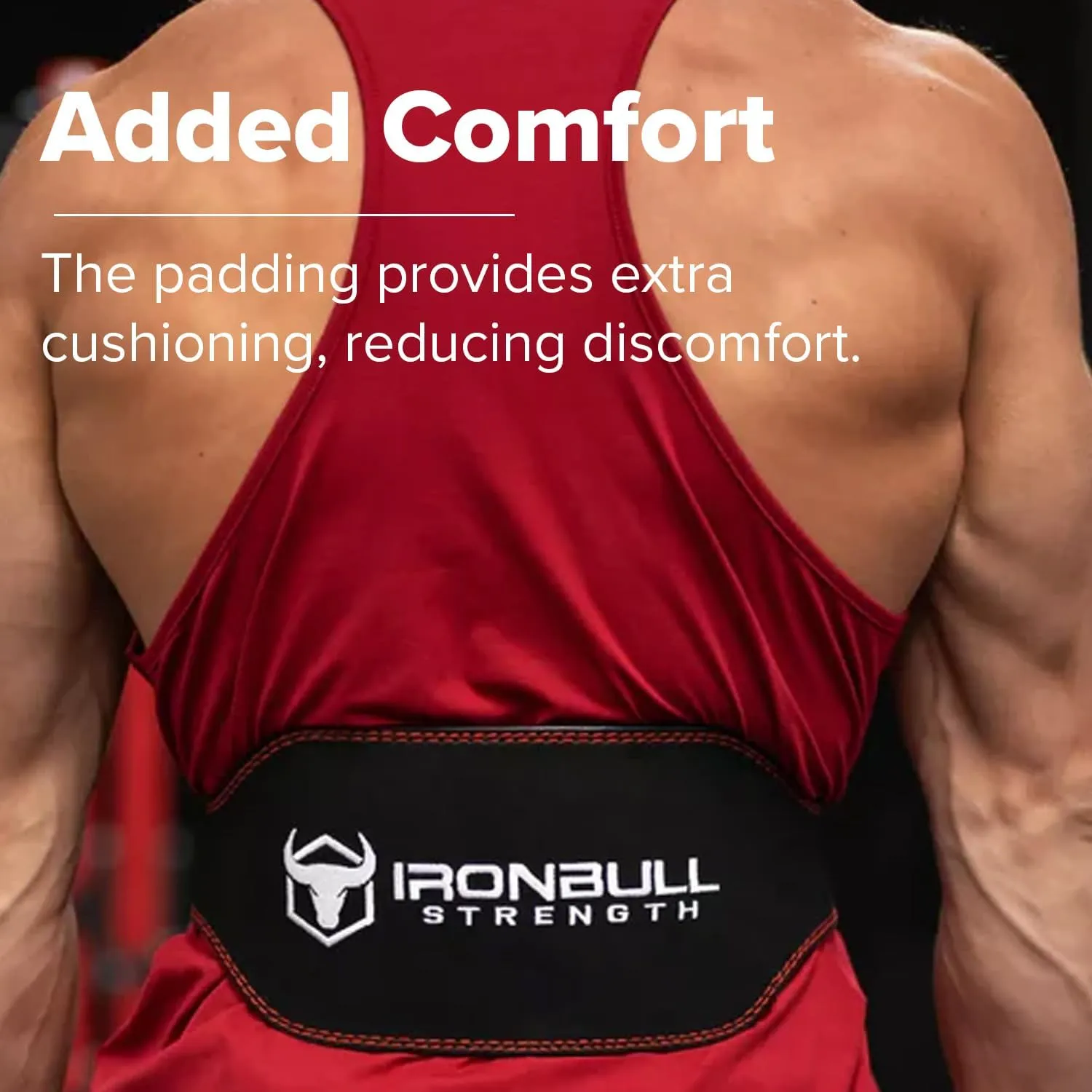 Weight Lifting Belt - 6-inch Padded Leather Weight Belt - Heavy Duty And Comfortable Back Support For Heavy Weightlifting and Fitness